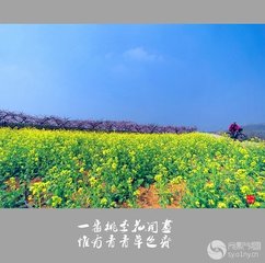 行香子·草色芊綿