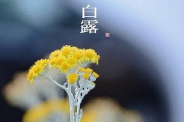 沁園春·詩(shī)不云乎