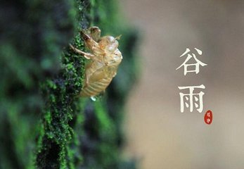 某伯子惠虎丘茗謝之