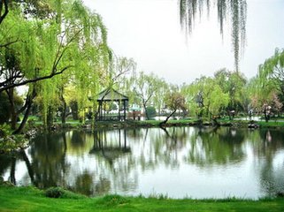 采桑子·連朝雨驟驅(qū)春去