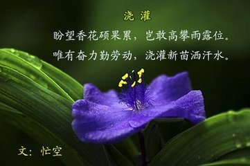 贈(zèng)丘老師