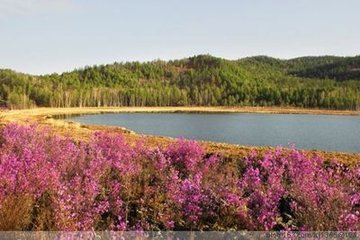 木蘭花慢·嘆西山歸客