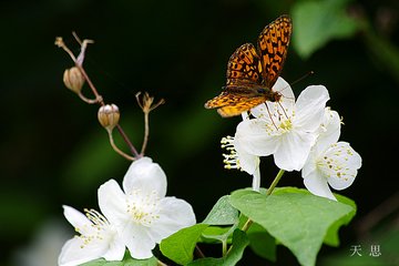 蝶戀花·莫笑一瓢門戶隘