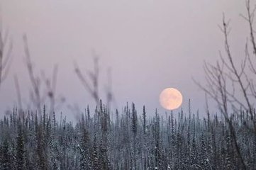 離泗州冒大雪