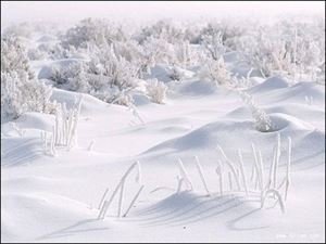 贈日者林雪庵