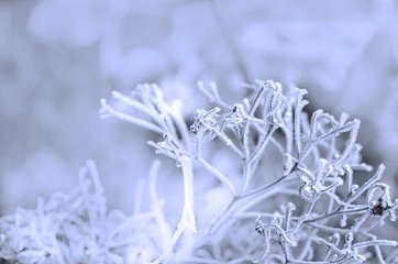 水調(diào)歌頭 九月望日，與客習(xí)射西園，余病不