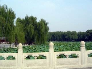 蝶戀花（即景）