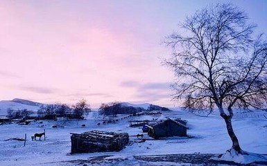 禁中雪