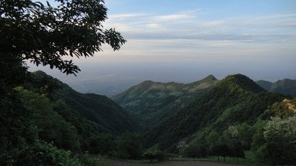 送張樸翁歸盩厔