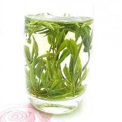 九華觀廢月池