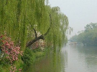 滿江紅·正好花時(shí)