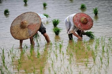 五月九日登舟迓卒鼓角發(fā)嚴