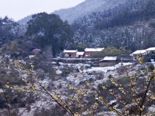 新雪八韻（一作閑居新雪）