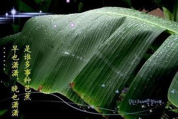 蝶戀花·夜雨鳴檐聲錄蔌