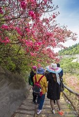 山中寄樊仆射（一作寄襄陽(yáng)樊司空）