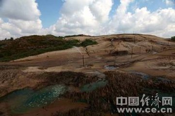 明州進(jìn)芝草并圖