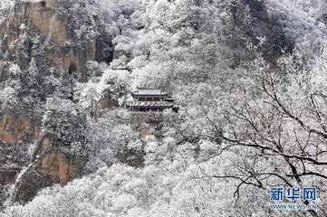 雪后