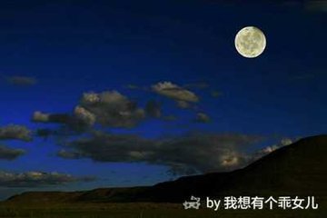 早夏月夜問王開