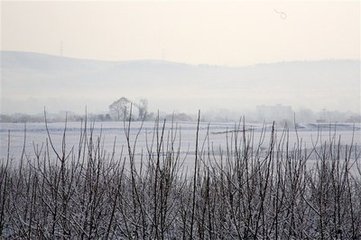 雪后呈邵堯章權(quán)尉