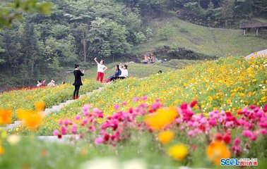 題答筤谷目