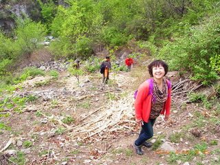 九日登北山