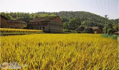 賦得風(fēng)光草際浮