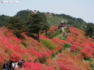 題龜峰