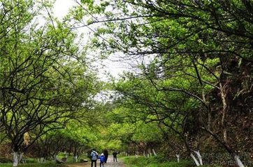 過新豐市懷古