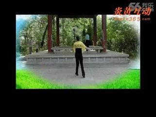 蝶戀花（勸酒致語）