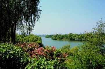 立夏前一日有賦