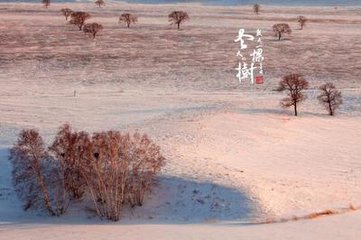 醉落魄/一斛珠 正月二十日張園賞海賞作