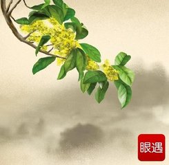 鷓鴣天（次李舉之見寄韻）