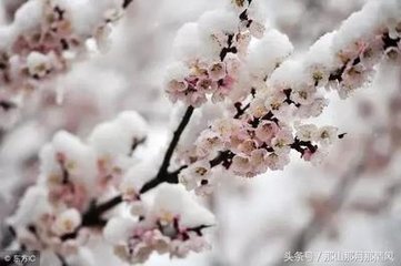 次韻王適春雪二首