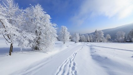 好事近·密雪聽窗知