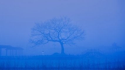 雪霽晨起