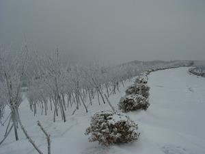 驀山溪（紹興乙卯，大雪行鄱陽道中）