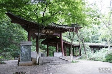 奉陪韋潤州游鶴林寺