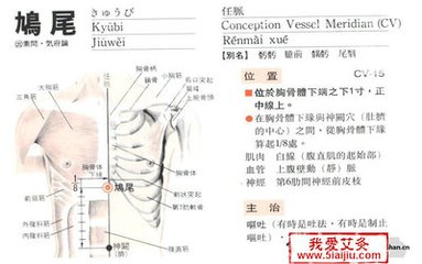 腹自鳩尾循任脈下行至