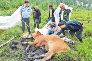 題政黃牛出山圖